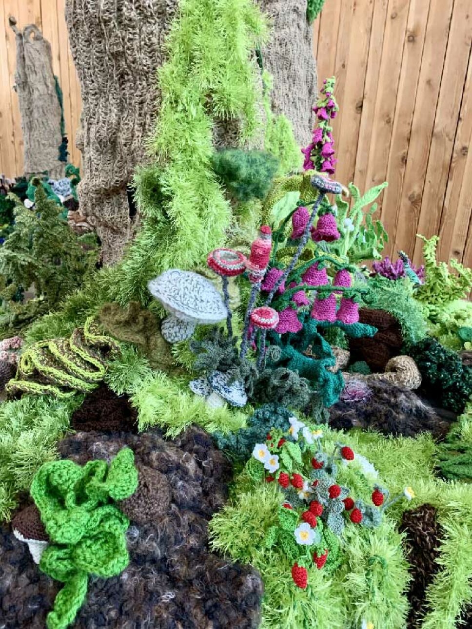 Waldwunder Lf Hochscheidt